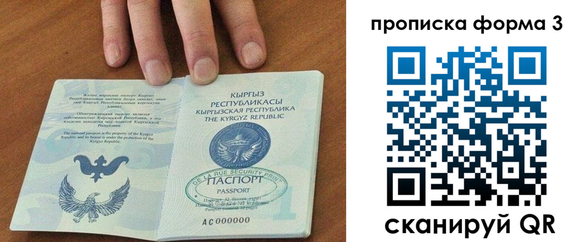 прописка 2025 в Белой Холунице